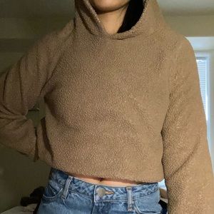 Fluffy Teddy Hoodie With Teddy Ears